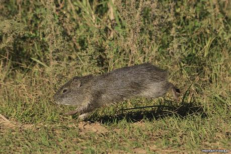 Recorriendo caminos de Udaondo a Ranchos