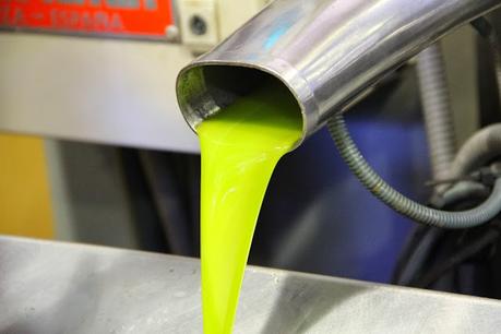 Reflexiones sobre el aceite de oliva virgen extra y errores habituales sobre este producto