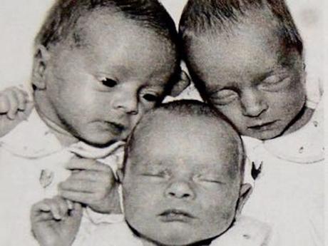 ¿Cuándo celebrar los cumpleaños bisiesto? ¿Cuándo celebrar los cumpleaños bisiesto?