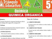 Química Orgánica Tipos Carbono para Quinto Secundaria