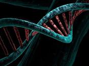 ÂżQuĂŠ cromosomas?