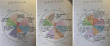 Evolución personal y profesional: La rueda de la vida