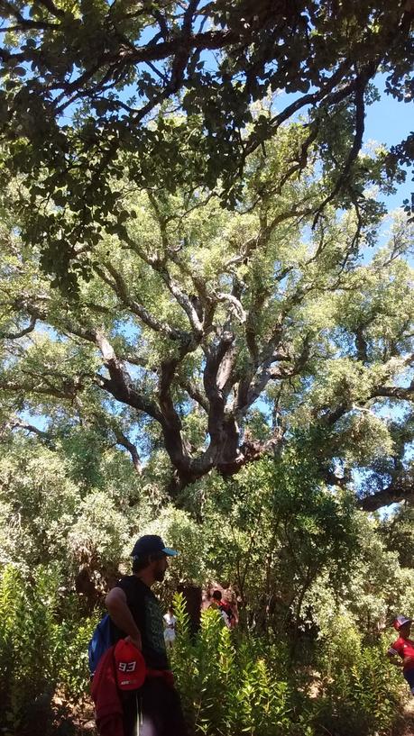 27 planes que ver y hacer en el Bierzo, turismo y ocio 14