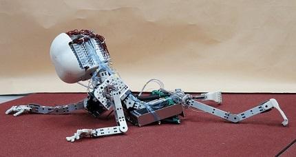 ¿Una infancia para los robots?