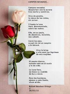 4.993 - CAMPOS NEVADOS... 4.993 - CAMPOS NEVADOS...