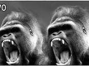 SINDICATOS: EXPLOTEMOS 11M. Hoy, hace años. marzo 2012