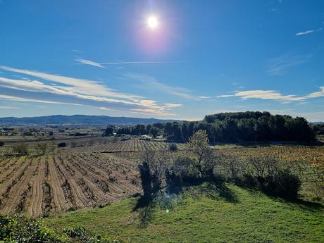 CAVAS BERDIE - DO CAVA