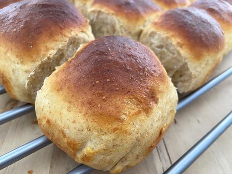 delikatissen Spelt Flour dinner rolls Spelt Flour bread Soft Dinner Rolls soft bread panecillo tierno casero pan tierno casero pan de leche pan de buttermilk home made bread fast bread easy bread buttermilk soft bread delikatissen Spelt Flour dinner rolls Spelt Flour bread Soft Dinner Rolls soft bread panecillo tierno casero pan tierno casero pan de leche pan de buttermilk home made bread fast bread easy bread buttermilk soft bread