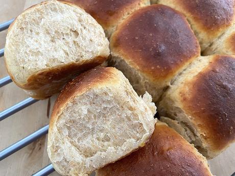 delikatissen Spelt Flour dinner rolls Spelt Flour bread Soft Dinner Rolls soft bread panecillo tierno casero pan tierno casero pan de leche pan de buttermilk home made bread fast bread easy bread buttermilk soft bread delikatissen Spelt Flour dinner rolls Spelt Flour bread Soft Dinner Rolls soft bread panecillo tierno casero pan tierno casero pan de leche pan de buttermilk home made bread fast bread easy bread buttermilk soft bread