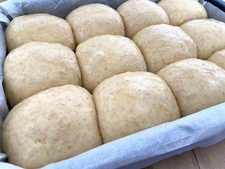 delikatissen Spelt Flour dinner rolls Spelt Flour bread Soft Dinner Rolls soft bread panecillo tierno casero pan tierno casero pan de leche pan de buttermilk home made bread fast bread easy bread buttermilk soft bread delikatissen Spelt Flour dinner rolls Spelt Flour bread Soft Dinner Rolls soft bread panecillo tierno casero pan tierno casero pan de leche pan de buttermilk home made bread fast bread easy bread buttermilk soft bread