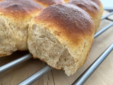 delikatissen Spelt Flour dinner rolls Spelt Flour bread Soft Dinner Rolls soft bread panecillo tierno casero pan tierno casero pan de leche pan de buttermilk home made bread fast bread easy bread buttermilk soft bread delikatissen Spelt Flour dinner rolls Spelt Flour bread Soft Dinner Rolls soft bread panecillo tierno casero pan tierno casero pan de leche pan de buttermilk home made bread fast bread easy bread buttermilk soft bread