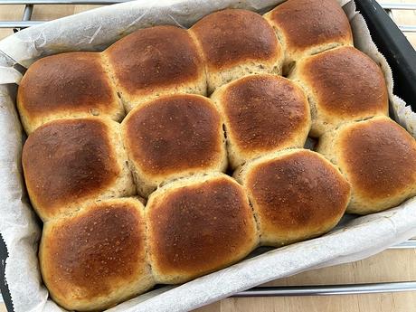 delikatissen Spelt Flour dinner rolls Spelt Flour bread Soft Dinner Rolls soft bread panecillo tierno casero pan tierno casero pan de leche pan de buttermilk home made bread fast bread easy bread buttermilk soft bread delikatissen Spelt Flour dinner rolls Spelt Flour bread Soft Dinner Rolls soft bread panecillo tierno casero pan tierno casero pan de leche pan de buttermilk home made bread fast bread easy bread buttermilk soft bread
