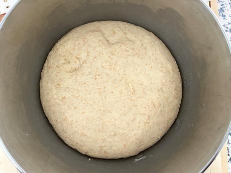 delikatissen Spelt Flour dinner rolls Spelt Flour bread Soft Dinner Rolls soft bread panecillo tierno casero pan tierno casero pan de leche pan de buttermilk home made bread fast bread easy bread buttermilk soft bread delikatissen Spelt Flour dinner rolls Spelt Flour bread Soft Dinner Rolls soft bread panecillo tierno casero pan tierno casero pan de leche pan de buttermilk home made bread fast bread easy bread buttermilk soft bread