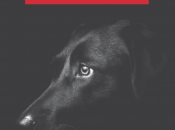 nombres prestados alexis ravelo