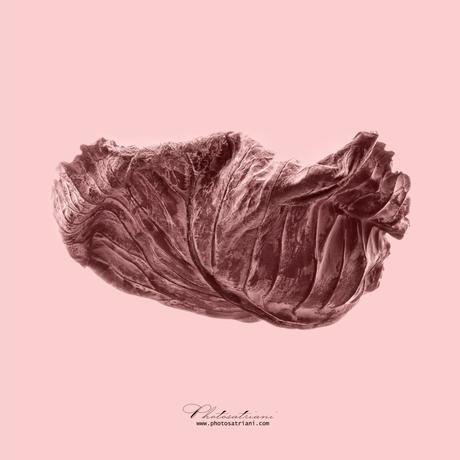 Il Venerdí di Photosatriani N. 356