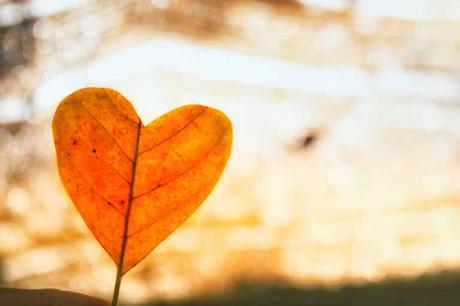 43 preguntas existenciales para reflexionar