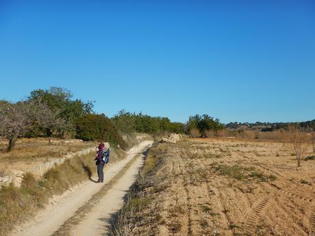 Sendero a la encina del Pontarró