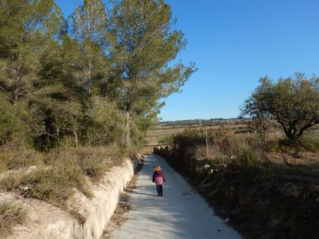 Camino a los Masos de la Secuita