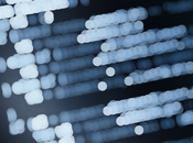 código Linux necesita modernizarse Linus Torvalds está listo para hacerlo