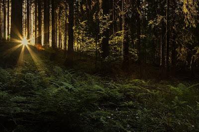 (Recopilación) Yo Escribo 52 Historias - Semana 7 y 8 by Varios Autores