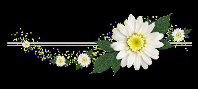 Deja de esperar un momento perfecto, sal y has que las cosas más hermosas sucedan. Tienes tanta magia dentro de ti, que ya no puedes seguir escondiéndola.