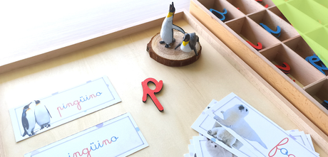 Recurso imprimible: Pack palabras de invierno - la Caja de las palabras