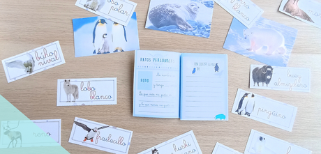 Recurso imprimible: Pack palabras de invierno - la Caja de las palabras