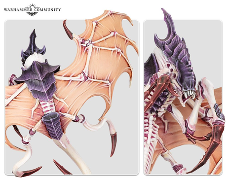 Warhammer Community: Resumen