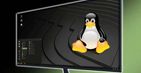 Windows VS Linux ¿Cual Es el mejor sistema?