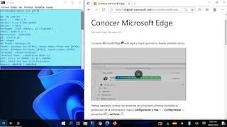 Personalización Linuxera: ¡Dale a tu GNU/Linux apariencia de Windows!