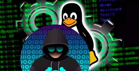 Seguridad La importancia de actualizar: gravísimo fallo de seguridad en Android y Linux Seguridad La importancia de actualizar: gravísimo fallo de seguridad en Android y Linux