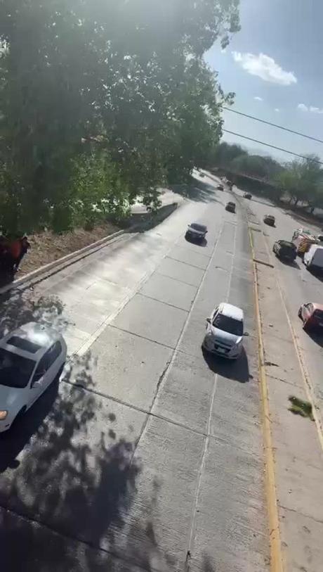 (video) Árbol cae sobre vehículo en el Río Santiago y fallece una persona
