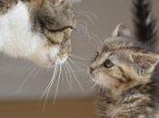 Usar macros bits Excel