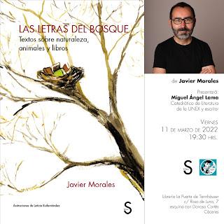 Las letras del bosque