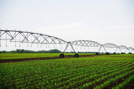 La sequía impulsa la necesidad de optimizar la gestión del agua para riego
