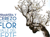 Publicado PROGRAMA OFICIAL Primavera Cerezo Flor 2022