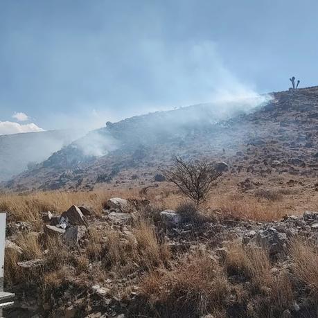 Se registra incendio forestal atrás de la Secretaría de Salud