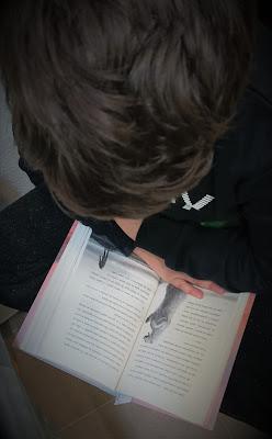 El último osos de Hannah Gold o cómo nos estamos cargando el planeta