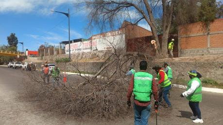 Inicia tala de árboles en el bulevar Río Santiago