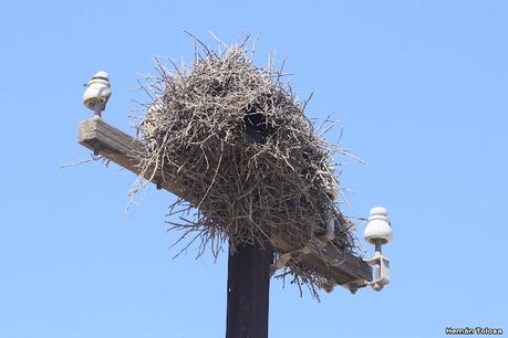 Laguna Epecuén (enero 2021)