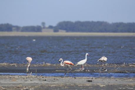 Laguna Epecuén (enero 2021)