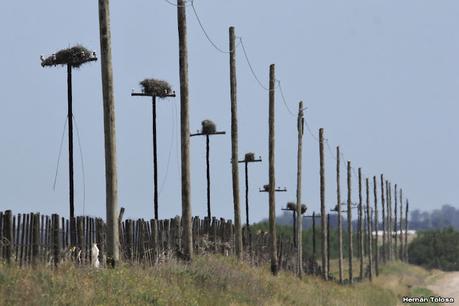 Laguna Epecuén (enero 2021)