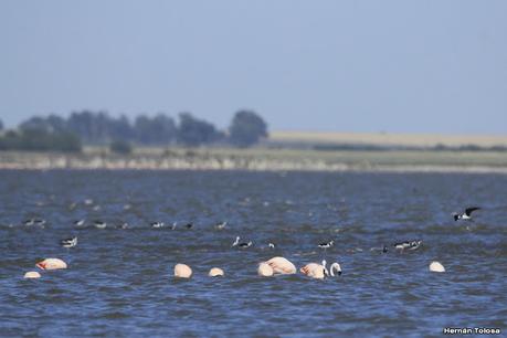 Laguna Epecuén (enero 2021)