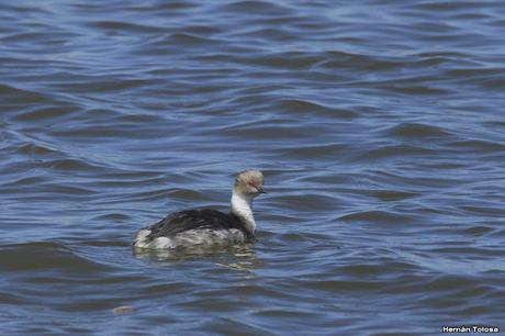 Laguna Epecuén (enero 2021)