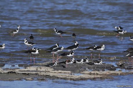 Laguna Epecuén (enero 2021)