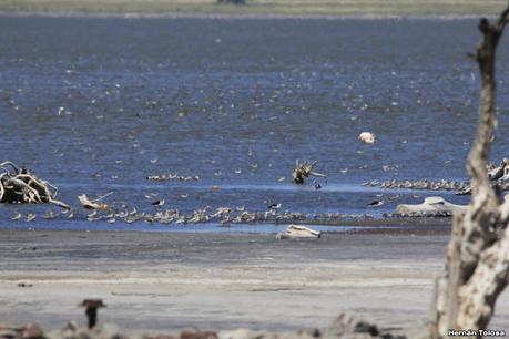 Laguna Epecuén (enero 2021)