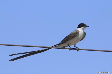 Laguna Epecuén (enero 2021)