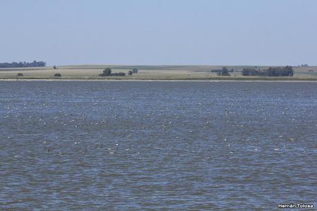 Laguna Epecuén (enero 2021)