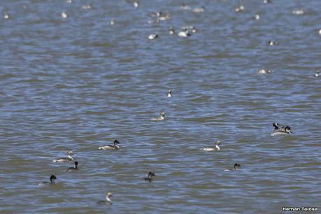 Laguna Epecuén (enero 2021)