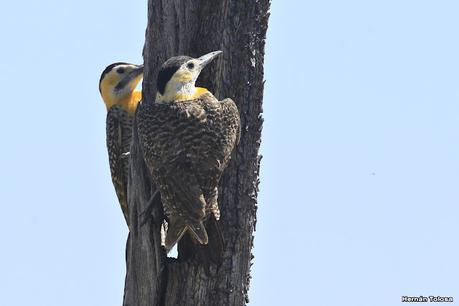 Laguna Epecuén (enero 2021)